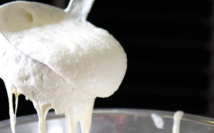 Lekker, biologisch, bewust en eerlijk - Broodcompany