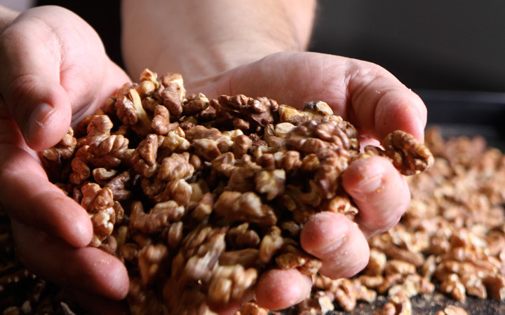 Biologische pitten, zaden en noten - Broodcompany